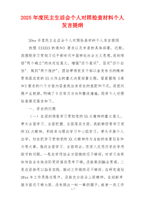 2025年度民主生活会个人对照检查材料个人发言提纲