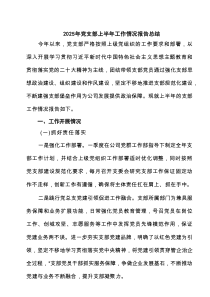 2025年党支部上半年工作情况报告总结(精选5篇)