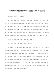 在新成立党支部第一次党员大会上的讲话范文政研室