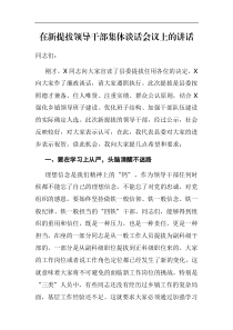 在新提拔领导干部集体谈话会议上的讲话
