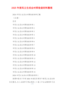 2025年度民主生活会对照检查材料整理