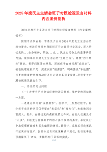 2025年度民主生活会班子对照检视发言材料内含案例剖析