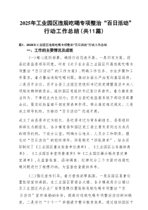 2025年工业园区违规吃喝专项整治“百日活动”行动工作总结(11篇精选）