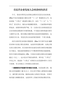 在民营企业发展大会座谈时的讲话