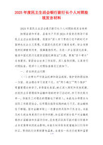 2025年度民主生活会银行副行长个人对照检视发言材料