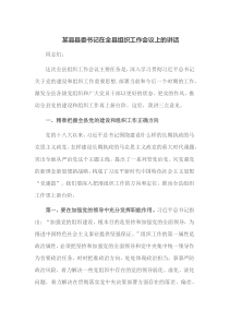 某县县委书记在全县组织工作会议上的讲话
