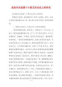 县县长在县委十六届五次全会上的讲话