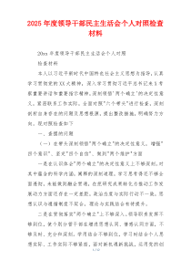 2025年度领导干部民主生活会个人对照检查材料