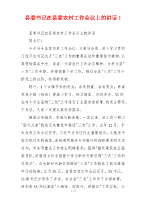 县委书记在县委农村工作会议上的讲话1