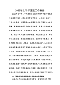 2025年某局上半年党建工作总结