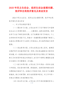 2025年民主生活会、组织生活会查摆问题、批评和自我批评意见及表态发言