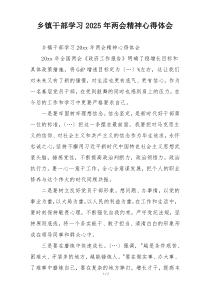乡镇干部学习2025年两会精神心得体会
