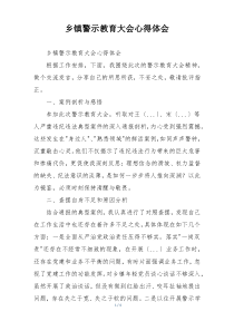 乡镇警示教育大会心得体会