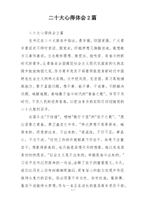 二十大心得体会2篇