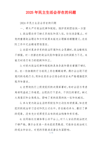 2025年民主生活会存在的问题
