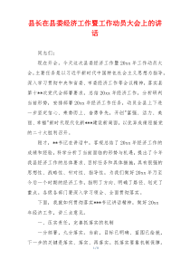 县长在县委经济工作暨工作动员大会上的讲话
