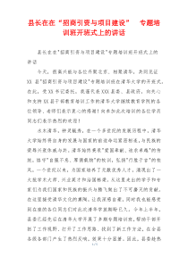 县长在在“招商引资与项目建设”  专题培训班开班式上的讲话