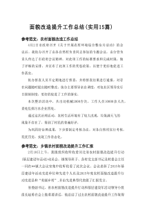 2025面貌改造提升工作总结（实用15篇）