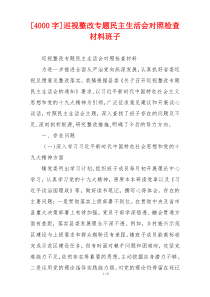 [4000字]巡视整改专题民主生活会对照检查材料班子