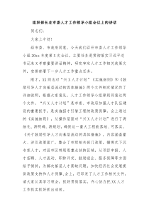 组织部长在市委人才工作领导小组会议上的讲话
