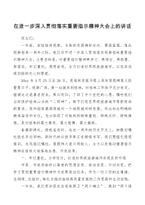 在进一步深入贯彻落实重要指示精神大会上的讲话