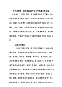 市司法局第一党支部2025年上半年党建工作总结