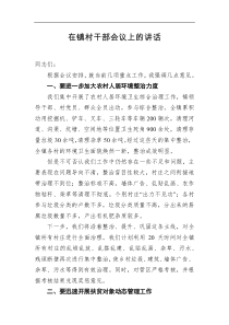 在镇村干部会议上的讲话