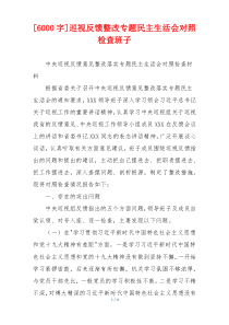 [6000字]巡视反馈整改专题民主生活会对照检查班子