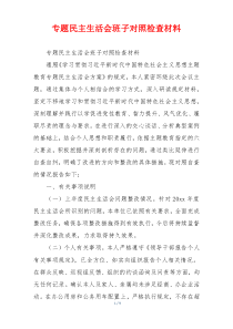专题民主生活会班子对照检查材料