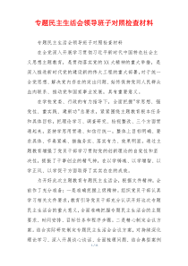 专题民主生活会领导班子对照检查材料