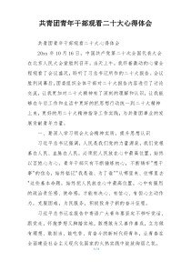 共青团青年干部观看二十大心得体会