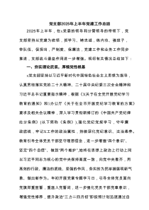 党支部2025年上半年党建工作总结精选8篇