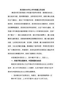 党支部2025年上半年党建工作总结精选（参考资料六篇）