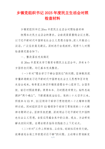 乡镇党组织书记2025年度民主生活会对照检查材料