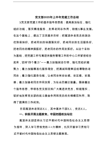 党支部2025年上半年党建工作总结（8篇汇编）