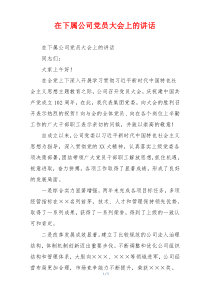 在下属公司党员大会上的讲话