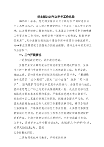 党支部2025年上半年工作总结精选(通用六篇)
