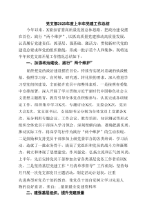 党支部2025年度上半年党建工作总结 六篇精选
