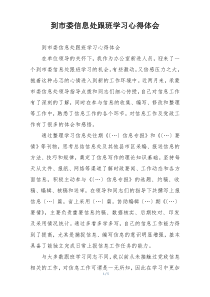 到市委信息处跟班学习心得体会