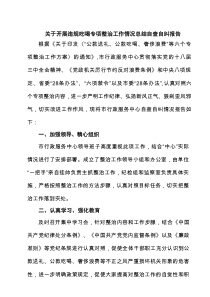 关于开展违规吃喝专项整治工作情况总结自查自纠报告(精选7篇合集)