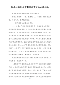 副县长参加全市警示教育大会心得体会