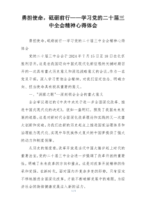勇担使命，砥砺前行——学习党的二十届三中全会精神心得体会
