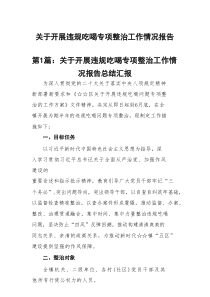 关于开展违规吃喝专项整治工作情况报告总结汇报(精选七篇)