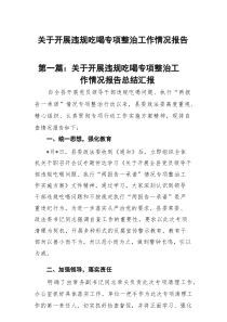 关于开展违规吃喝专项整治工作情况报告总结汇报（合计13份）