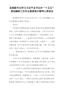 县委副书记学习习近平总书记对“十五五”规划编制工作作出重要指示精神心得体会