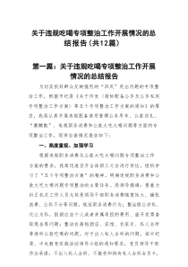 关于违规吃喝专项整治工作开展情况的总结报告12篇（精选）