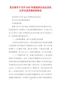 党支部关于召开2025年度组织生活会及民主评议党员情况的报告