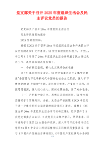 党支部关于召开2025年度组织生活会及民主评议党员的报告