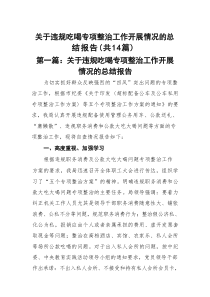 关于违规吃喝专项整治工作开展情况的总结报告14篇（精选版）
