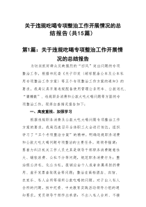 关于违规吃喝专项整治工作开展情况的总结报告15篇（精选版）